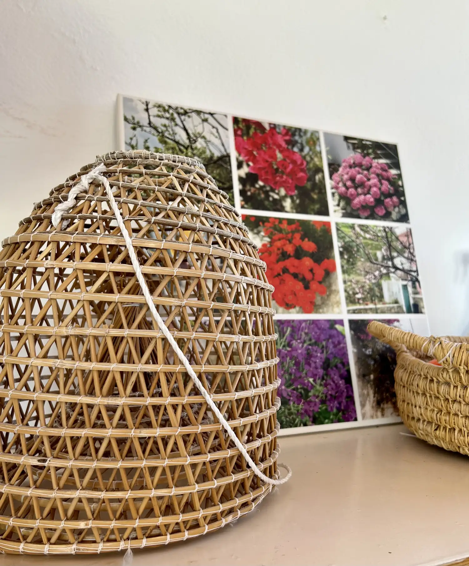 Albergo Le Querce, foto 8