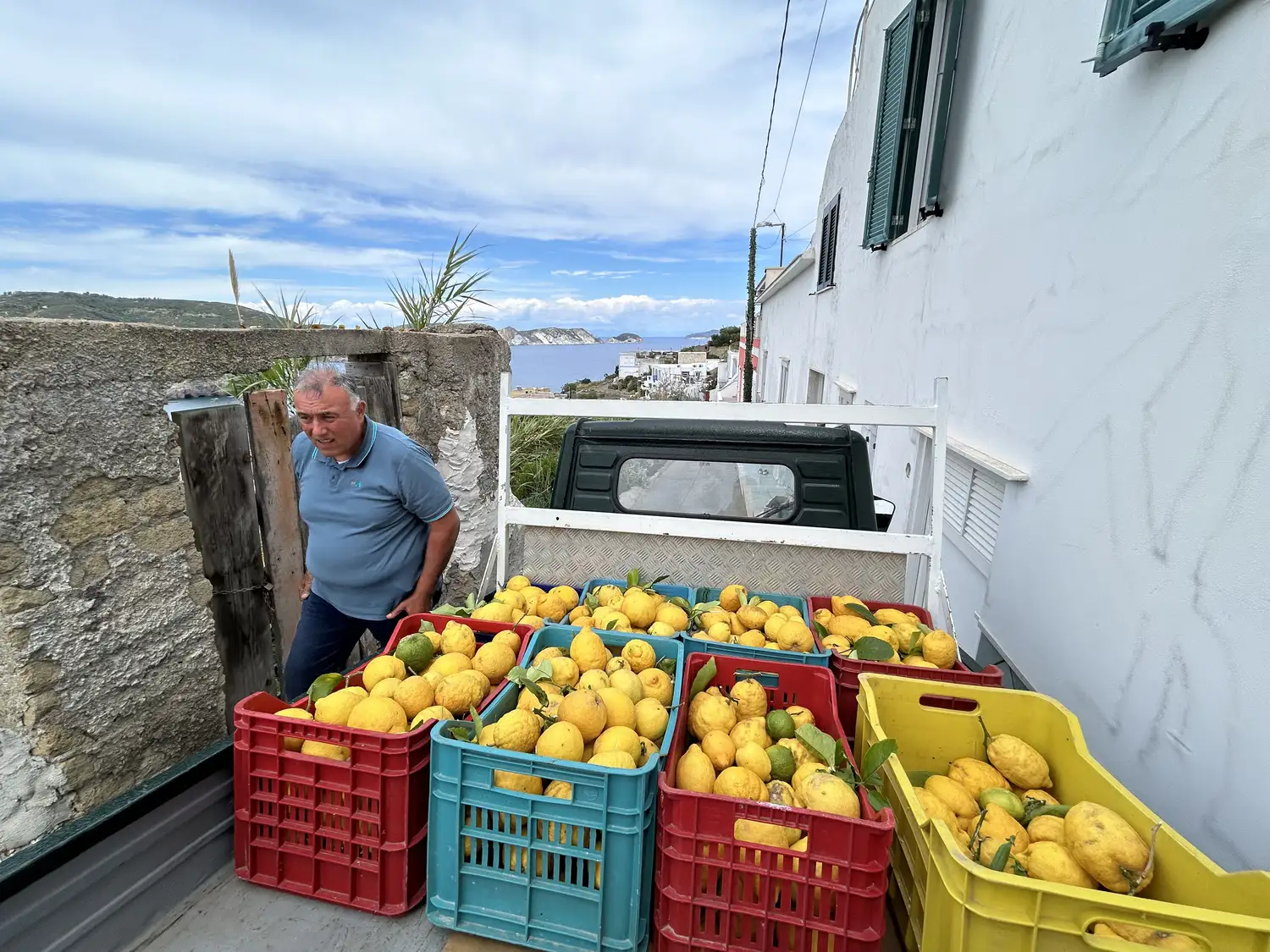 Orto biologico Le Querce, foto 7